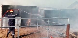 Φωτιά σε ποιμνιοστάσιο στον Αμπελώνα – Στις φλόγες μεγάλη ποσότητα ζωοτροφών