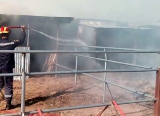 Φωτιά σε ποιμνιοστάσιο στον Αμπελώνα – Στις φλόγες μεγάλη ποσότητα ζωοτροφών