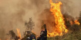 Φωτιά σε εξέλιξη στην Ανατολή Αγιάς – Στο σημείο οδηγείται η Πυροσβεστική