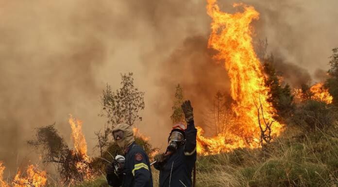 Φωτιά σε εξέλιξη στην Ανατολή Αγιάς – Στο σημείο οδηγείται η Πυροσβεστική