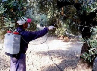 Δολωματικός ψεκασμός σε ελαιόδεντρα του Δήμου Τεμπών