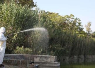 Καλπάζει ο ιός του Δυτικού Νείλου: 38 πλέον τα κρούσματα στο νομό, 27 στον Δήμο Λαρισαίων