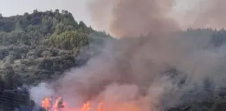 Φωτιά έξω από τη Λάρισα – Στο σημείο δυνάμεις τηε Πυροσβεστικής