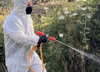 Ιός του Δυτικού Νείλου: Στο επίκεντρο η Θεσσαλία – 78 κρούσματα, 57 στην Π.Ε. Λάρισας