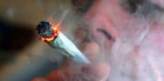 Νεαρός Λαρισαίος πιάστηκε με κάνναβη – Τι αναφέρει η αστυνομία