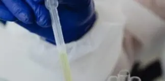 «Έχω εμβρυάκι, μπορείς να μου βρεις παρένθετη να της το χώσουμε»; – Οι κυνικοί διάλογοι μεταξύ γιατρών και προσωπικού της κλινικής εξωσωματικής