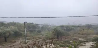 Πλημμύρισαν δρόμοι σε Σκιάθο και Σκόπελο από την κακοκαιρία – Παρασύρθηκαν αυτοκίνητα (φωτογραφίες + βίντεο)