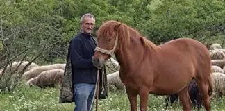Βαρύ το πένθος: Ένα ολόκληρο χωριό αποχαιρετά τον 61χρονο αυτόχειρα που λύγισε LarisaNew.gr - Ειδήσεις από τη Λάρισα και τη Θεσσαλία