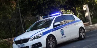 18χρονος ξυλοκόπησε την σύντροφό του και αποπειράθηκε να πνίξει τον σκύλο τους