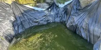 Εντοπίστηκε φυτεία με -812- δενδρύλλια κάνναβης σε δύσβατη δασώδη περιοχή στη Λάρισα- Συνελήφθη 34χρονος αλλοδαπός, ενώ κατασχέθηκαν πάνω από -36,6- κιλά ακατέργαστης κάνναβης